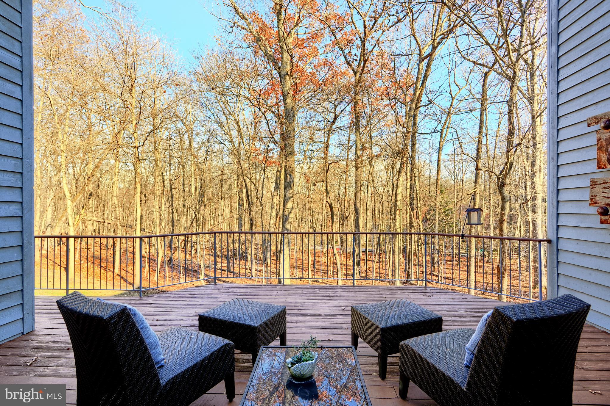 13016 Red Maple Way Clarksville, MD 21029 - Photo 116 of 150