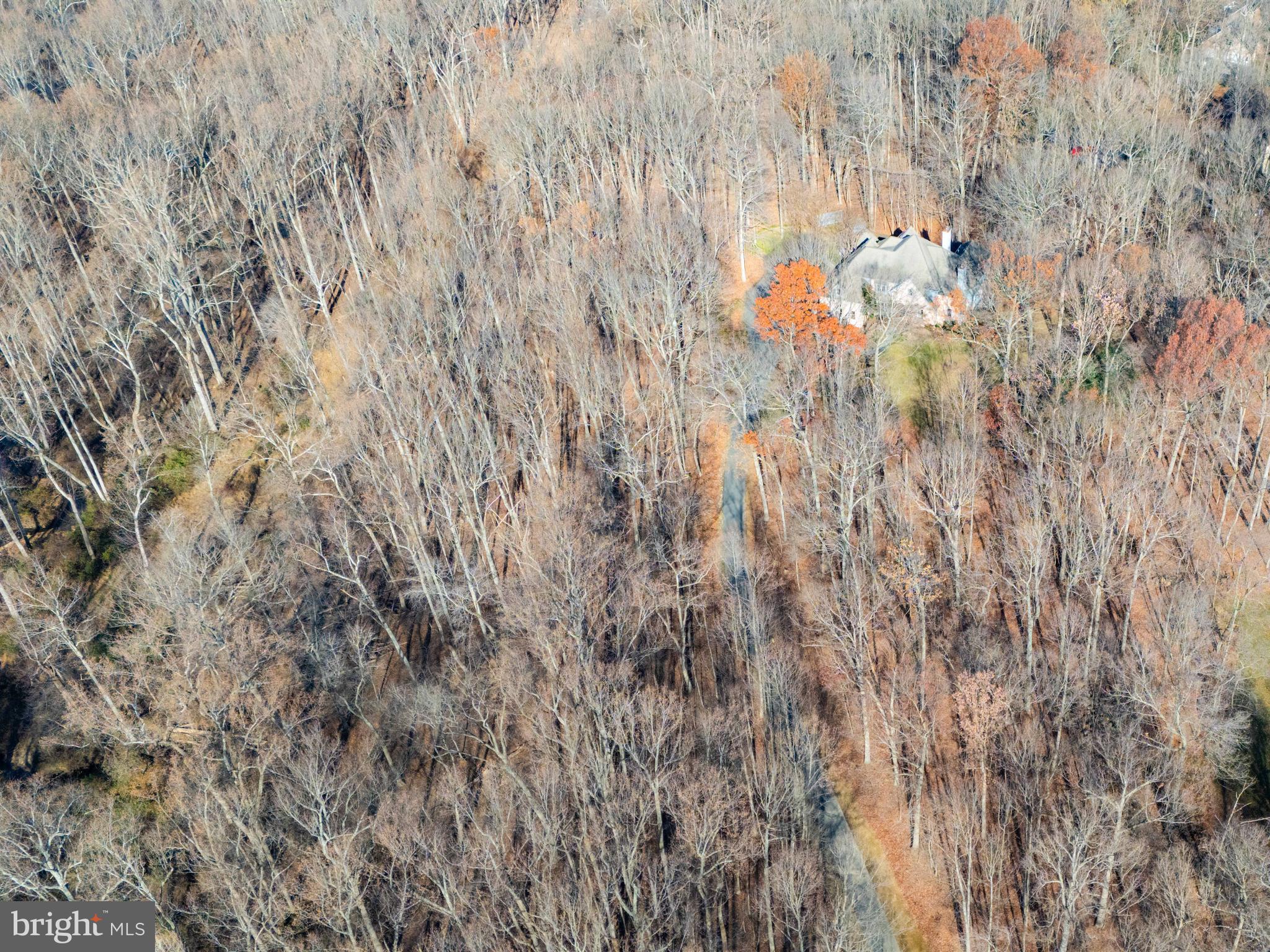 13016 Red Maple Way Clarksville, MD 21029 - Photo 136 of 150