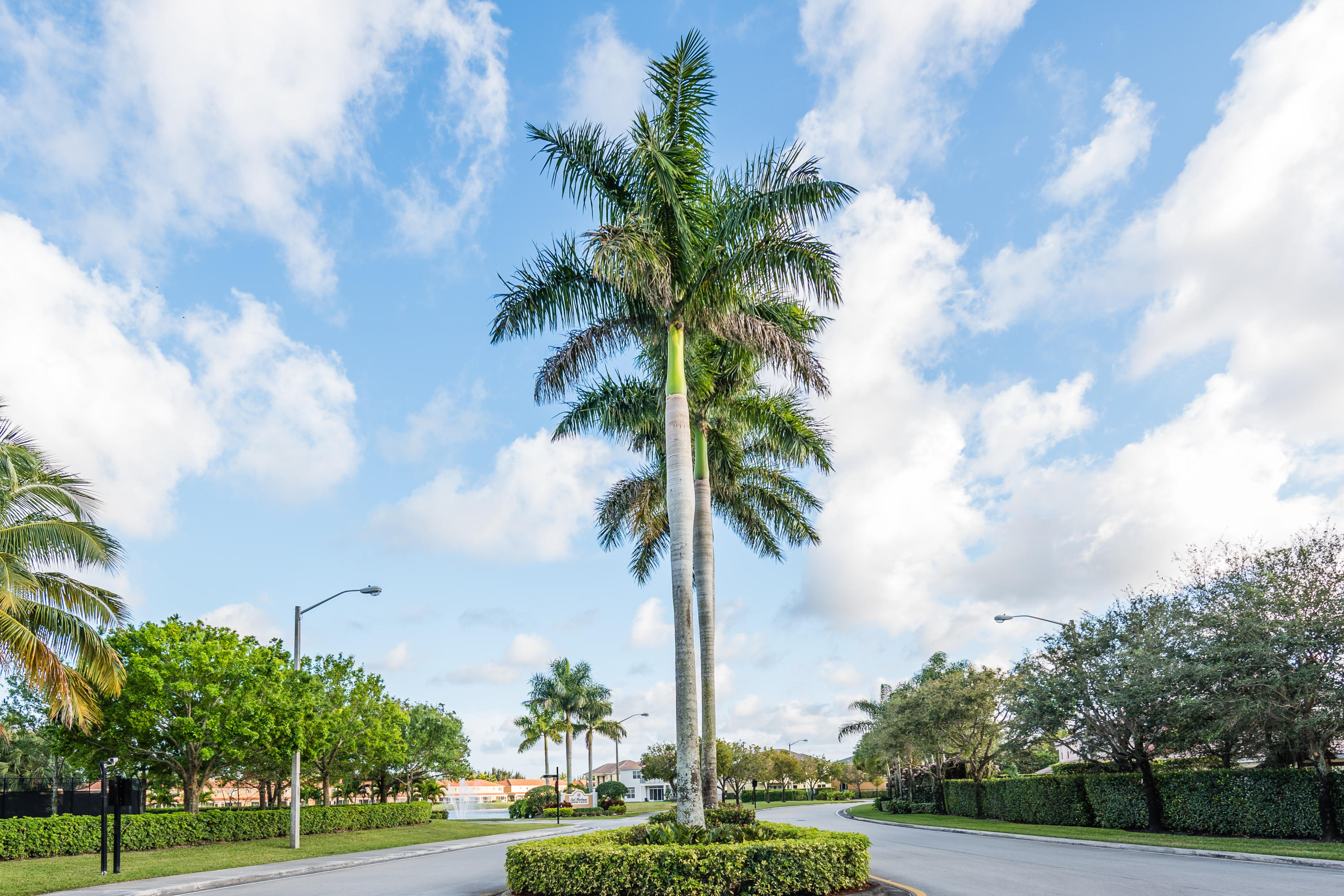 3232 Bollard Road West Palm Beach, FL 33411 - Photo 30 of 33 Celebration1