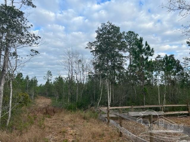 Lot 4 Lewis Road Milton, FL 32570 - Photo 1 of 6 Gallery Image 1