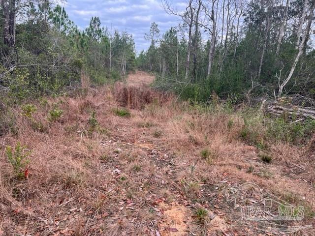 Lot 4 Lewis Road Milton, FL 32570 - Photo 2 of 6 Gallery Image 2