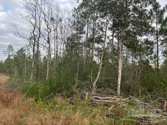 Lot 4 Lewis Road Milton, FL 32570 - Photo 3 of 6 Gallery Image 3