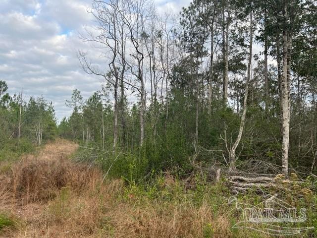 Lot 4 Lewis Road Milton, FL 32570 - Photo 4 of 6 Gallery Image 4