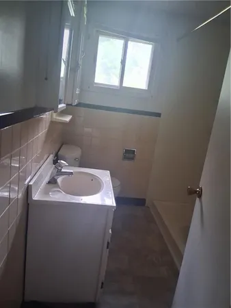 a bathroom with a sink and a toilet
