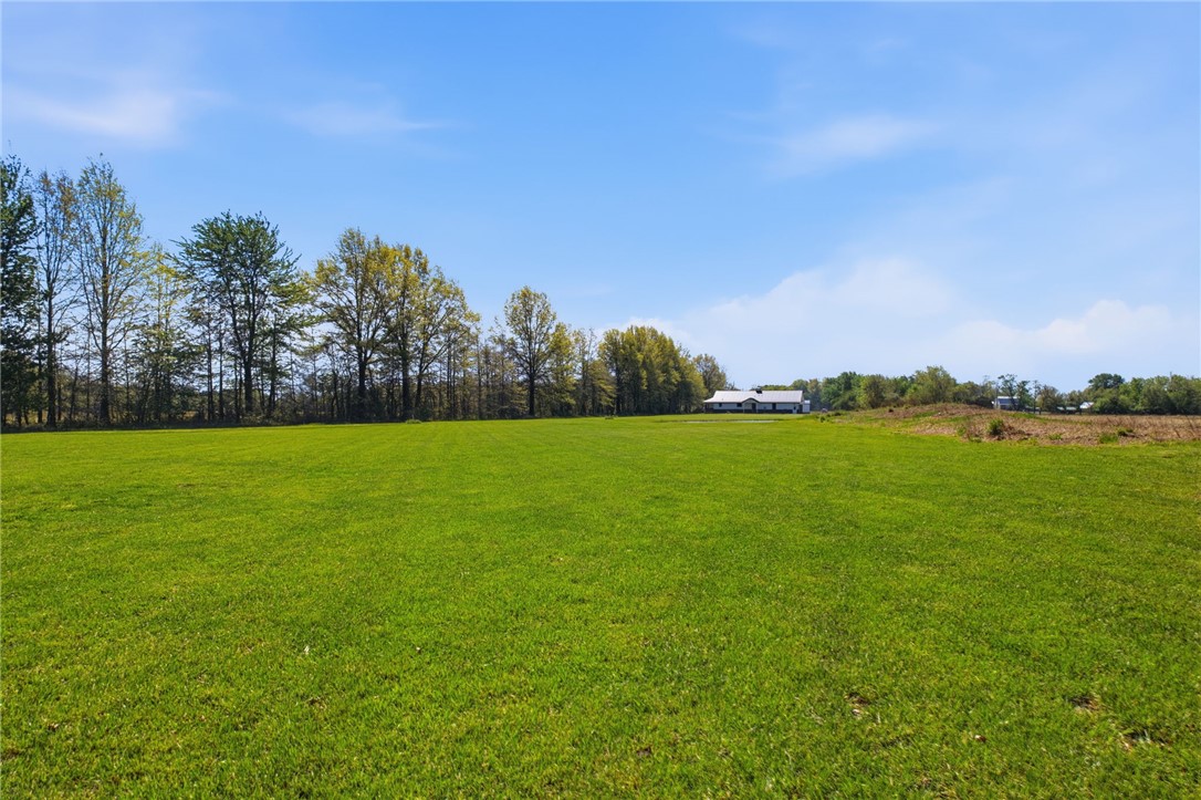 1602 Westboro Road Blanchester, OH 45107 - Photo 76 of 81 Expansive green acreage invites limitless possibilities for a custom build or agricultural pursuits.