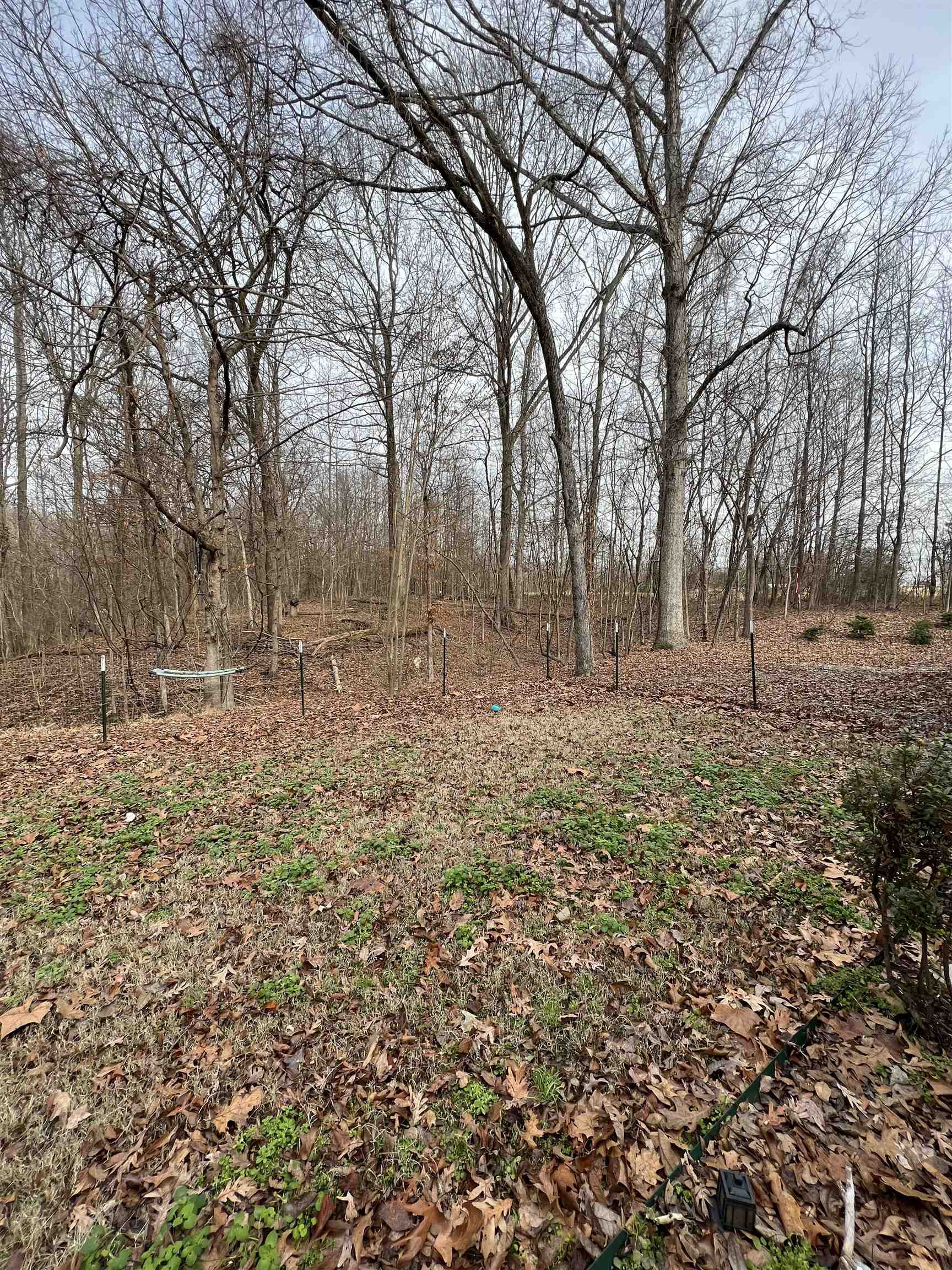 2522 Dunlap Orphanage Road Brighton, TN 38011 - Photo 22 of 22 a view of outdoor space with trees