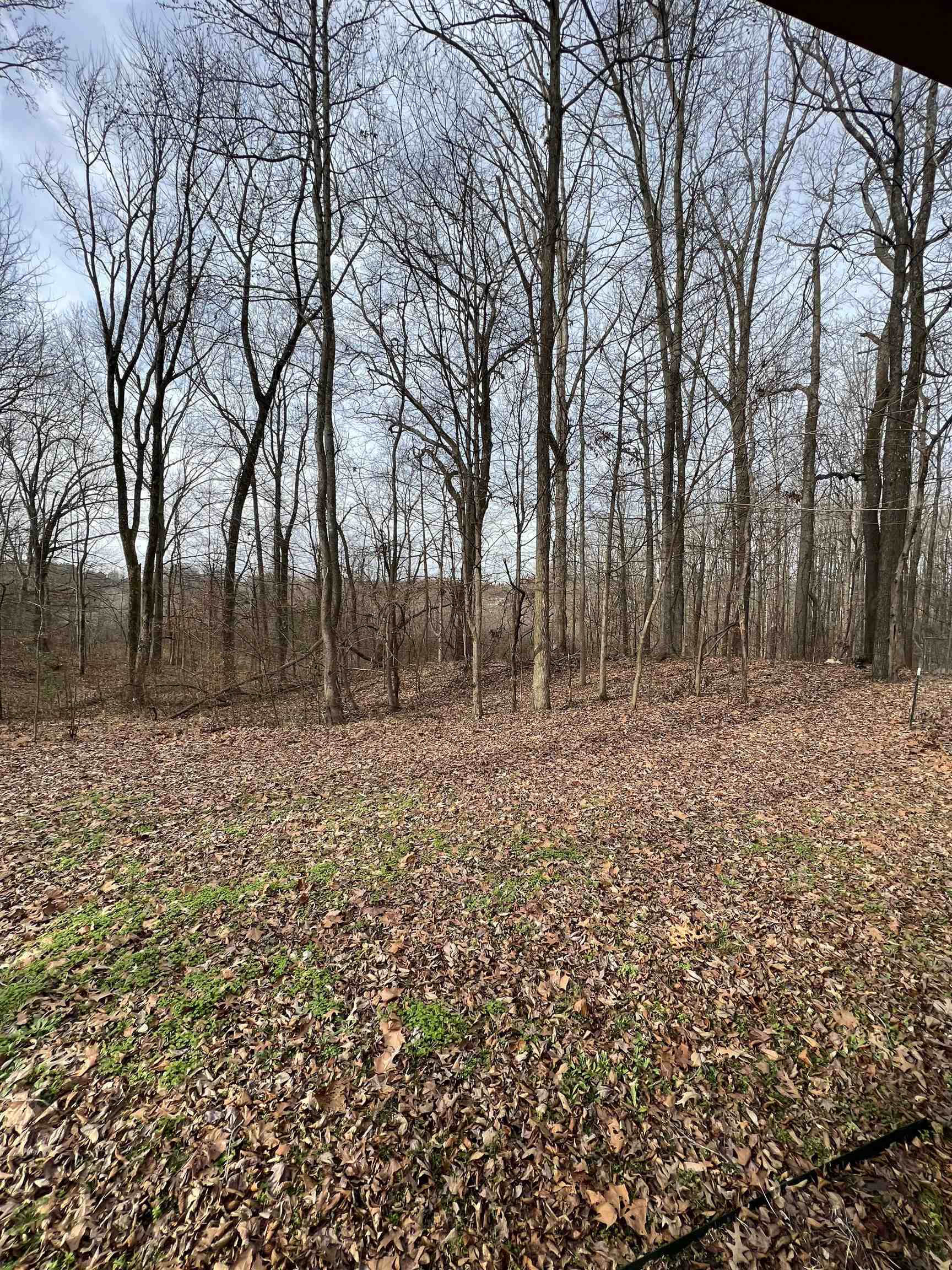 2522 Dunlap Orphanage Road Brighton, TN 38011 - Photo 5 of 22 a view of outdoor space with trees