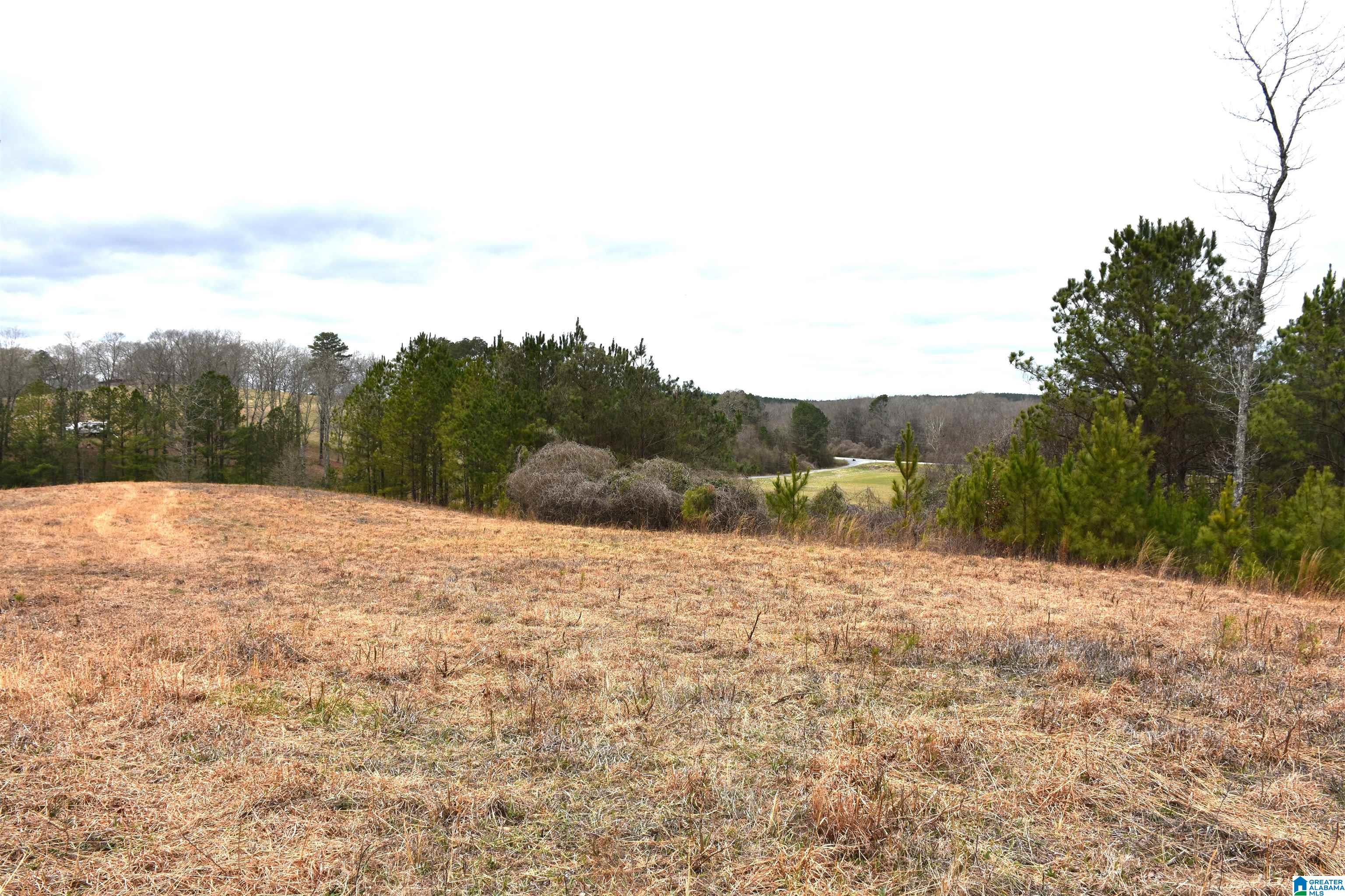 0 Grist Mill Road Alpine, AL 35014 - Photo 5 of 10