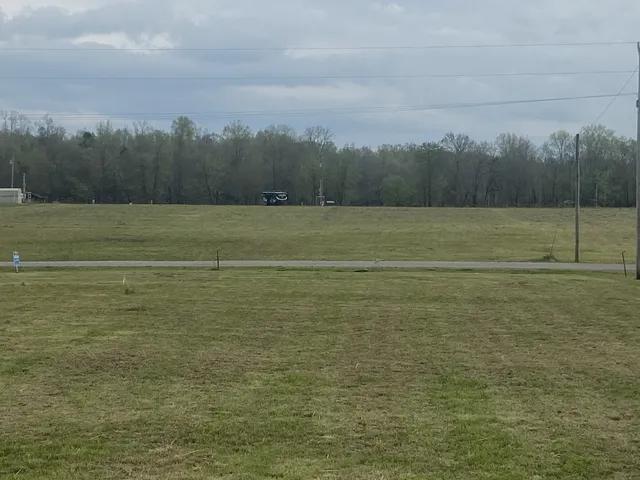 a view of a field with trees
