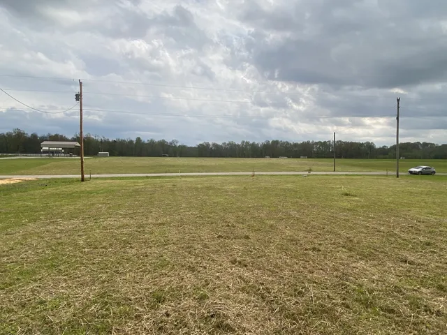 a view of an ocean with a large tree