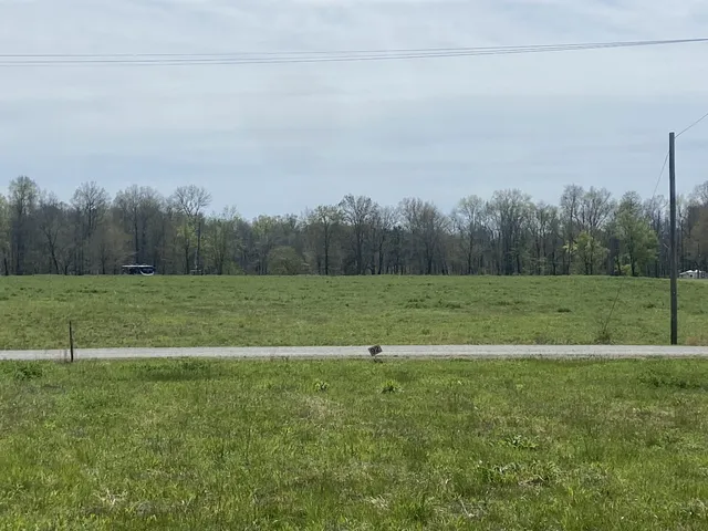 a view of a field with grass and trees in the background