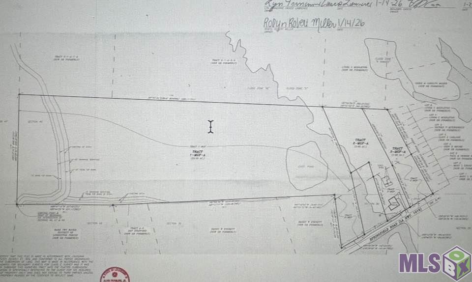 9001 Springfield Road Denham Springs, LA 70706 - Photo 8 of 8