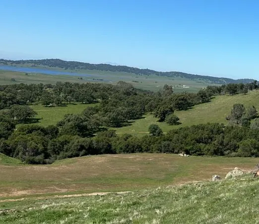 $1,299,000 | 2428 Hunt Road, Angels Camp, CA 95222