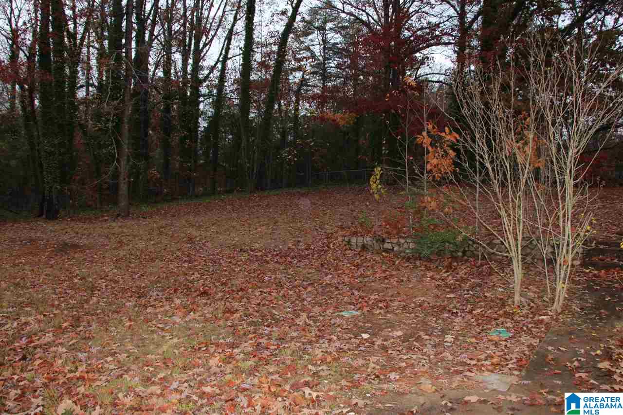 3617 Dale Hollow Road Anniston, AL 36207 - Photo 34 of 35