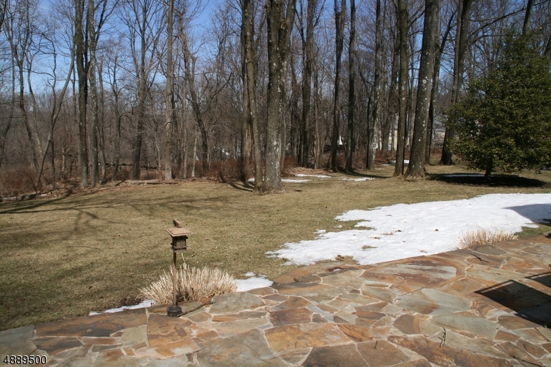 22 Rolling Hill Drive Morristown, NJ 07960 - Photo 17 of 17 a view of a backyard of a house