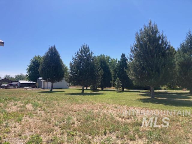 1095 County Road 70 Weiser, ID 83672 - Photo 41 of 44 Expansive property featuring mature coniferous trees and open grassy areas