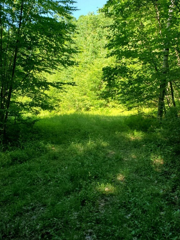 Lot B Old Wendell Road Northfield, MA 01360 - Photo 3 of 5 Gallery Image 3