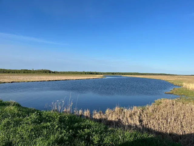 $215,000 | 9815 County 8 Northeast, Remer, MN 56672