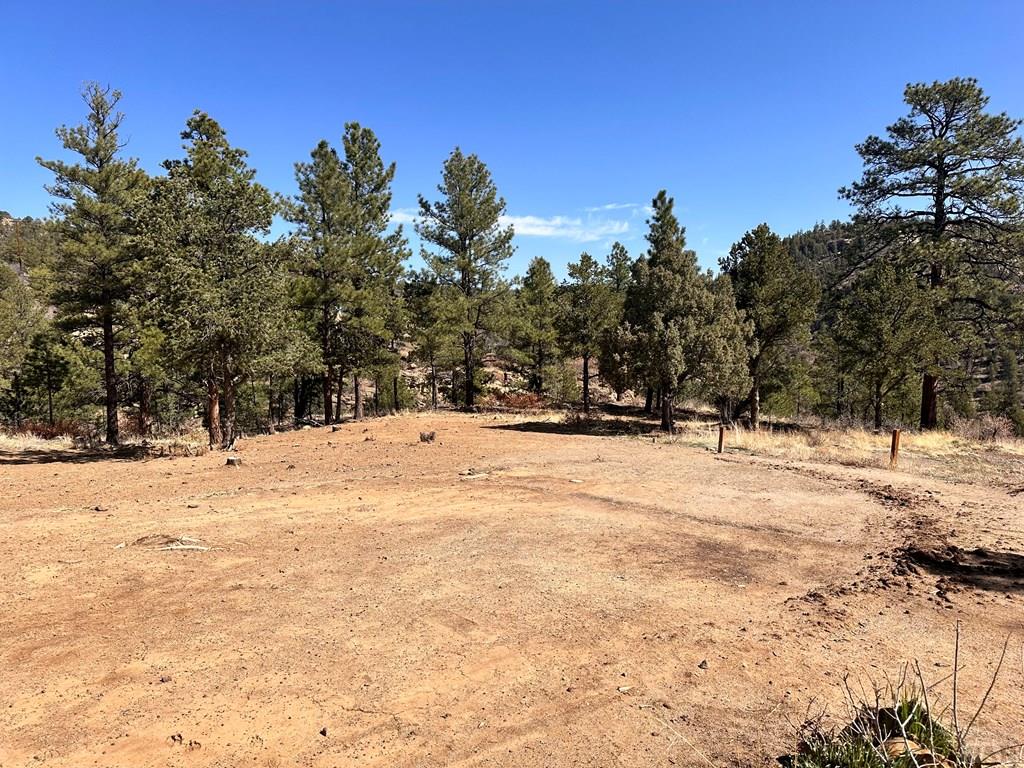 Tbd Big Pine Ridge Road Weston, CO 81091 - Photo 3 of 20 Gallery Image 3