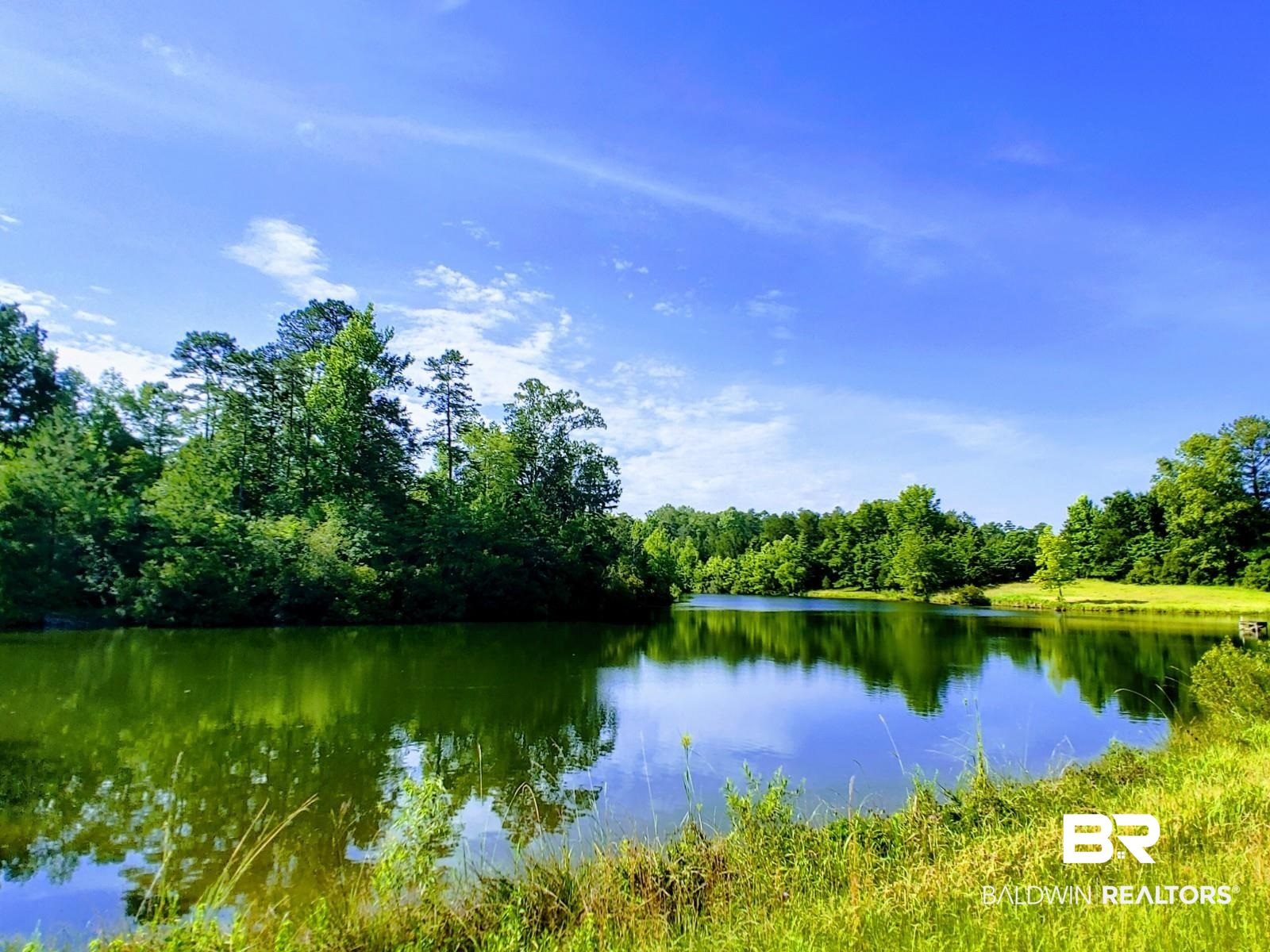48 Highway 17 Millry, AL 36558 - Photo 28 of 50