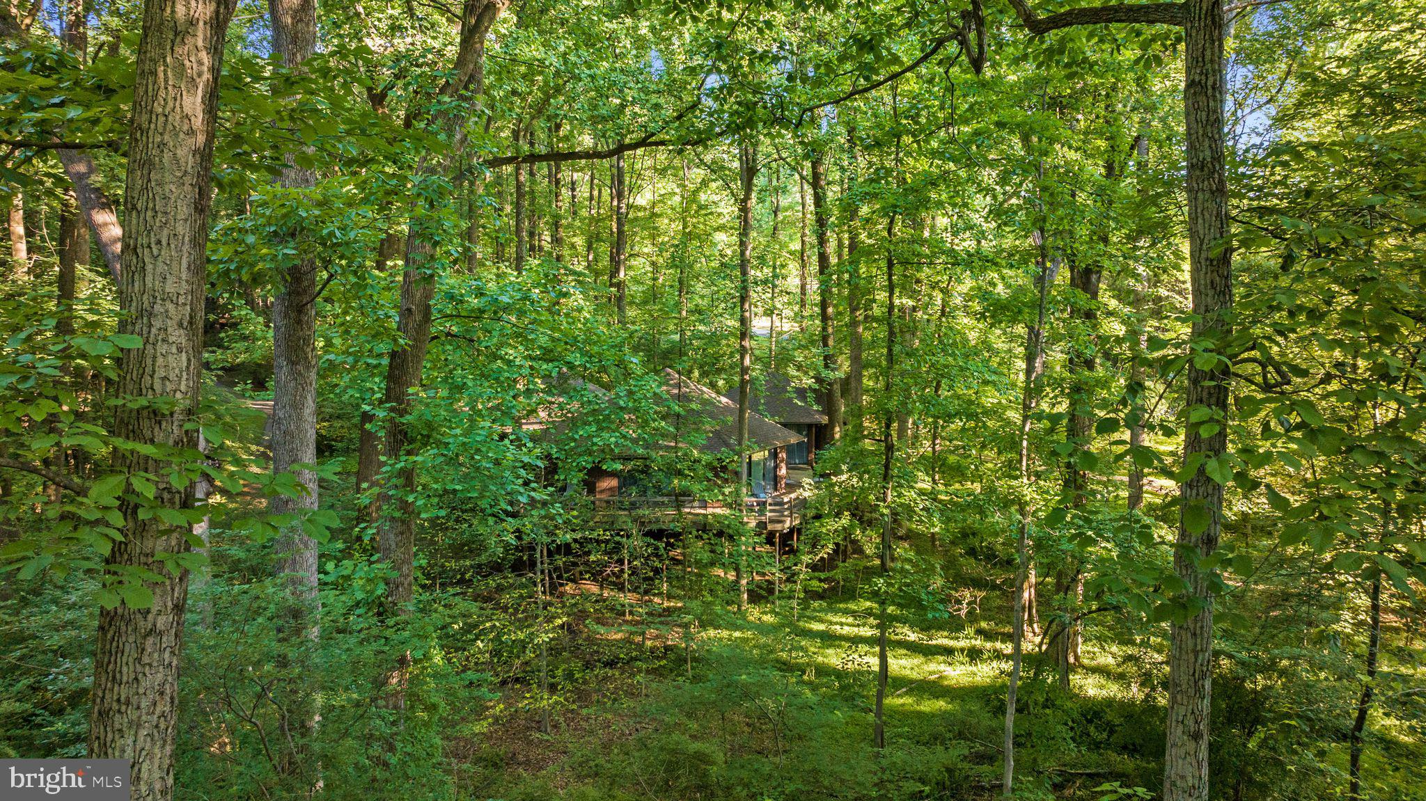 2707 Caves Road Owings Mills, MD 21117 - Photo 75 of 76