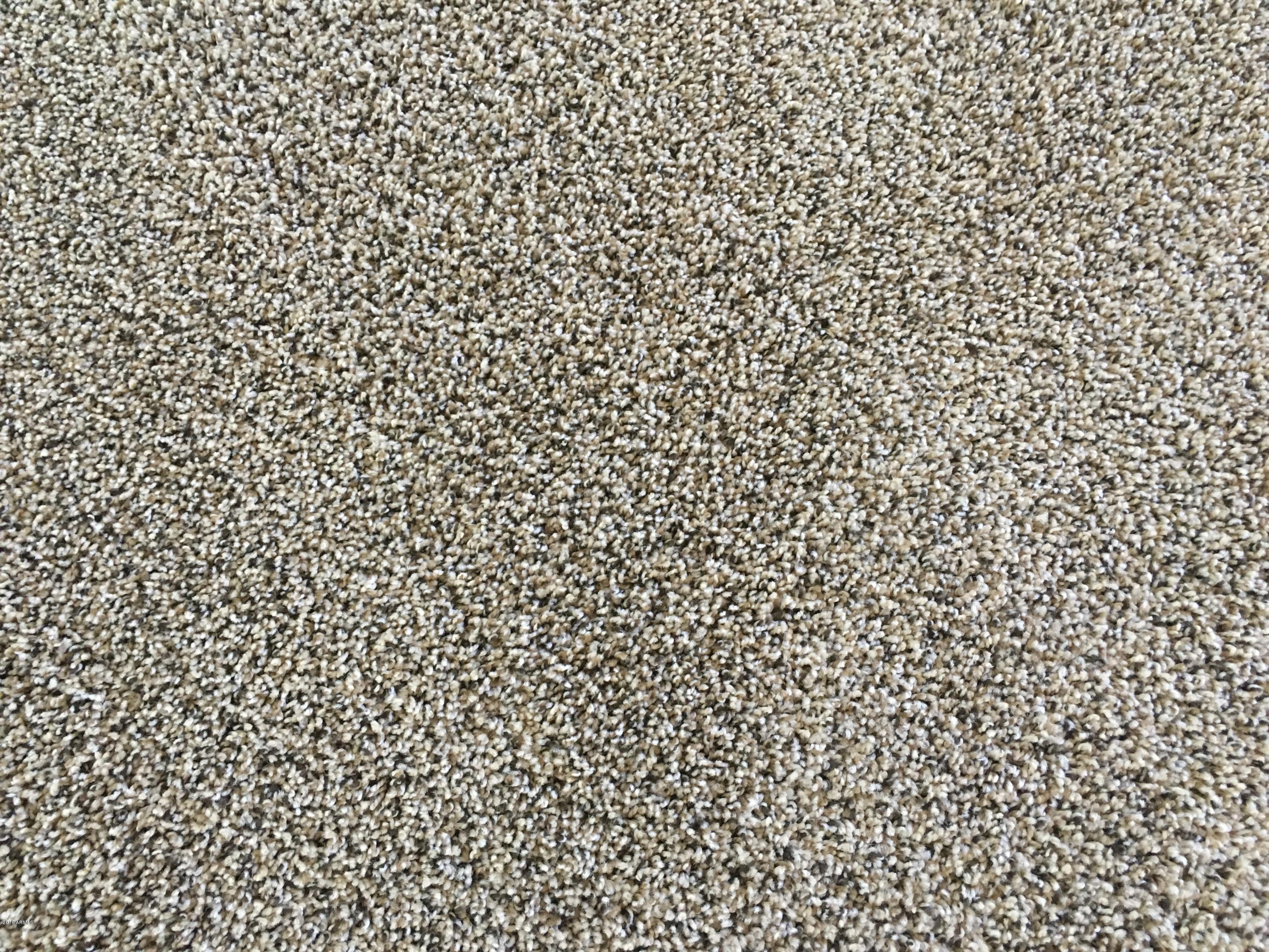 2732 West Florimond Road Phoenix, AZ 85086 - Photo 17 of 33 New Carpet