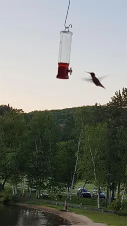 $169,000 | 120 Lake Street, Barton, VT 05822