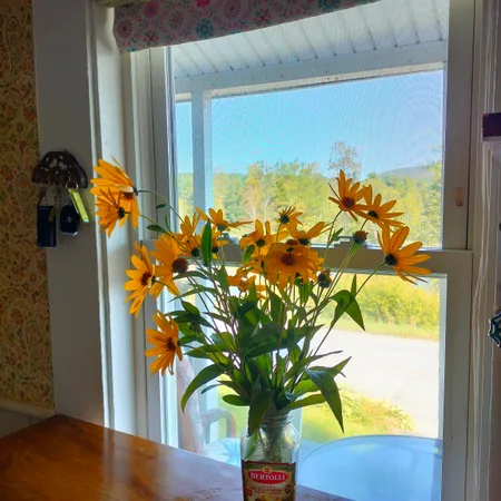 $169,000 | 120 Lake Street, Barton, VT 05822