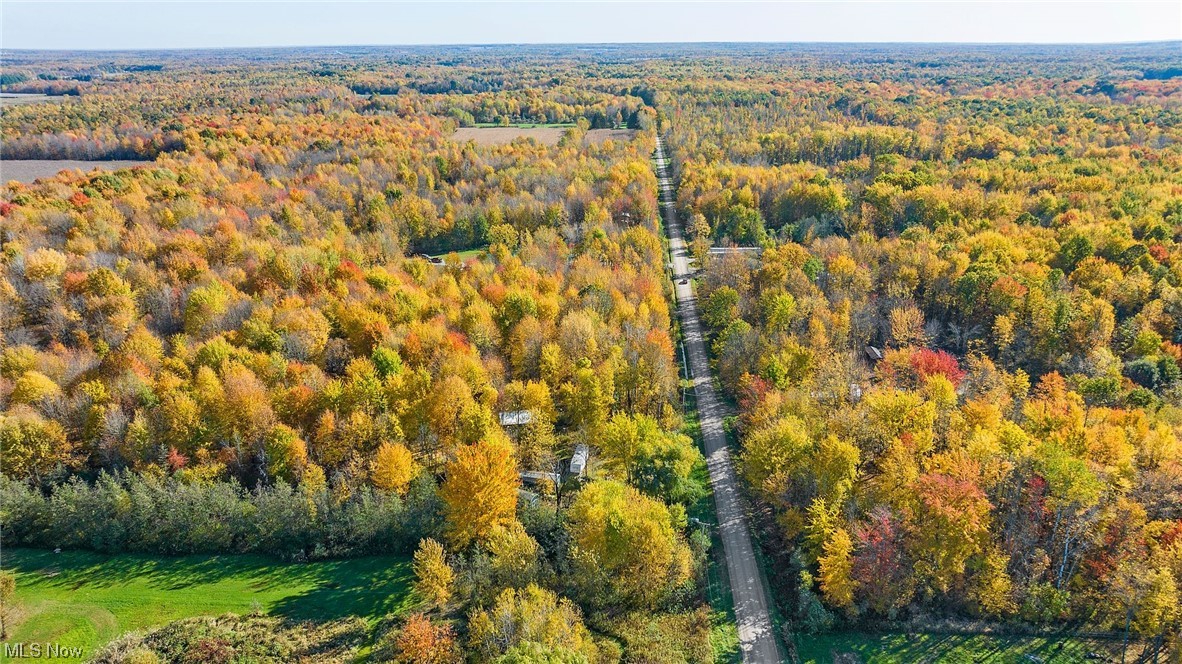 3589 Netcher Road Jefferson, OH 44047 - Photo 19 of 21 View from West