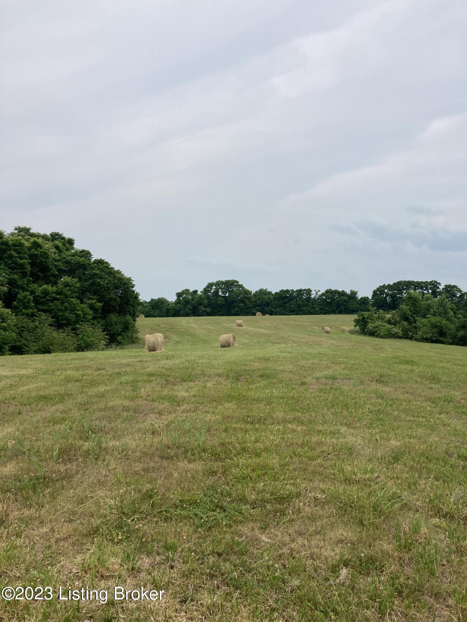 225 Burgin-Noel Road Bloomfield, KY 40008 - Photo 4 of 12 IMG_4289