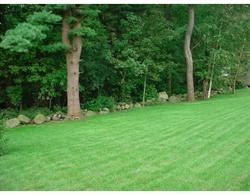 29 Maple Ridge Road Seabrook, NH 03874 - Photo 4 of 5