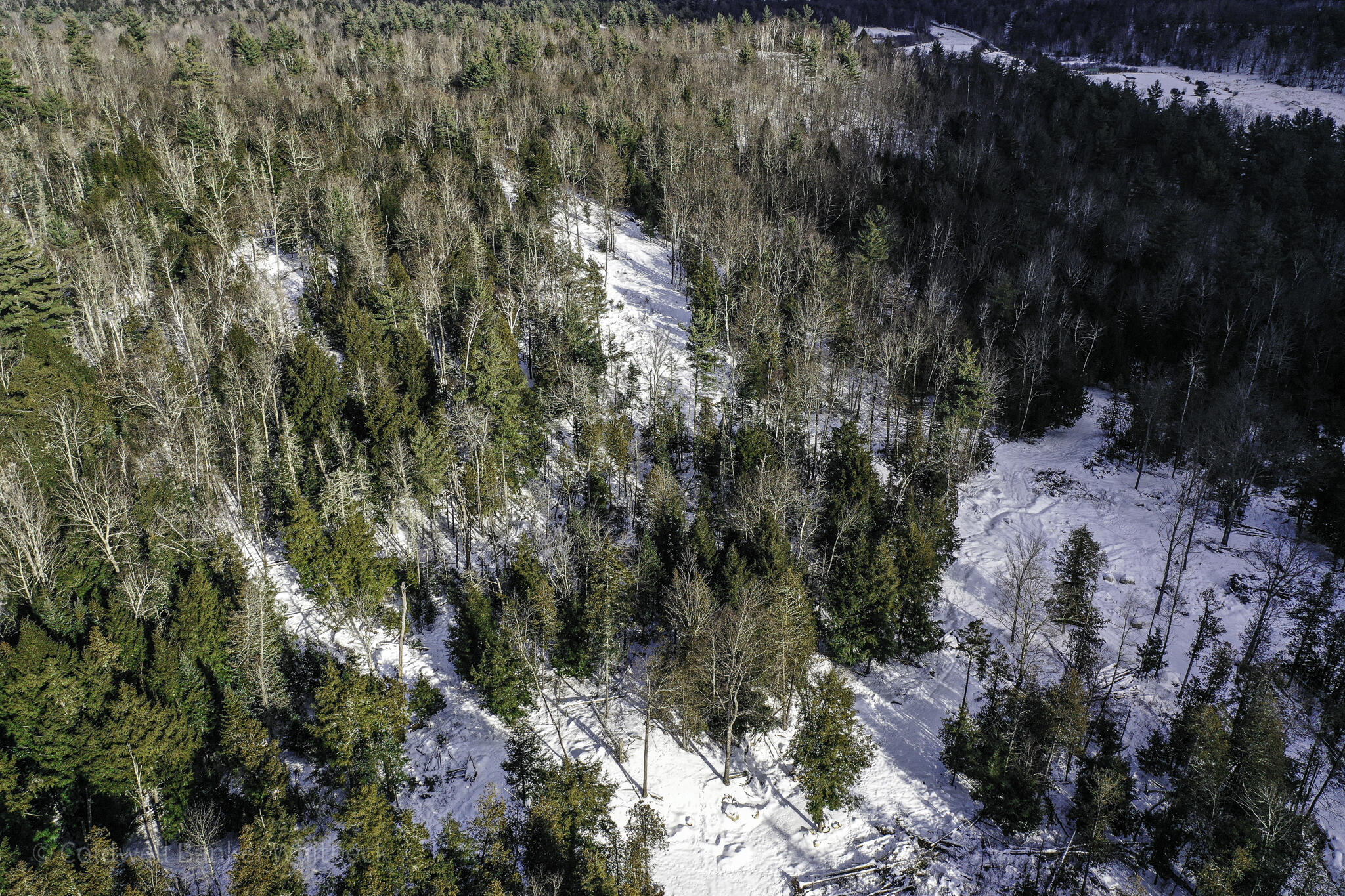 3 Gilmore Hill Road Keene, NY 12942 - Photo 24 of 43 DJI_0145