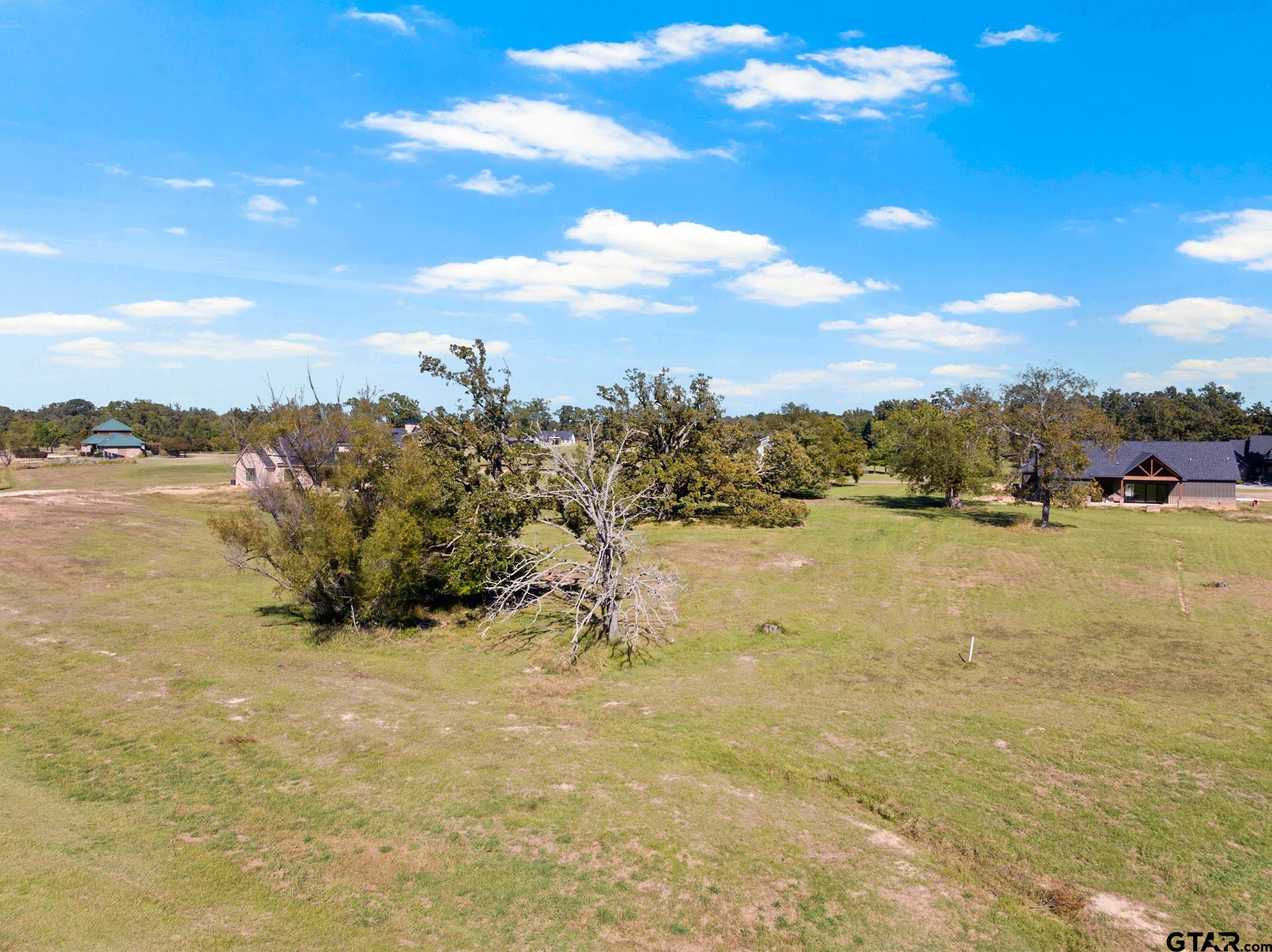 Lot 26 Private Road Mount Pleasant, TX 75455 - Photo 10 of 20