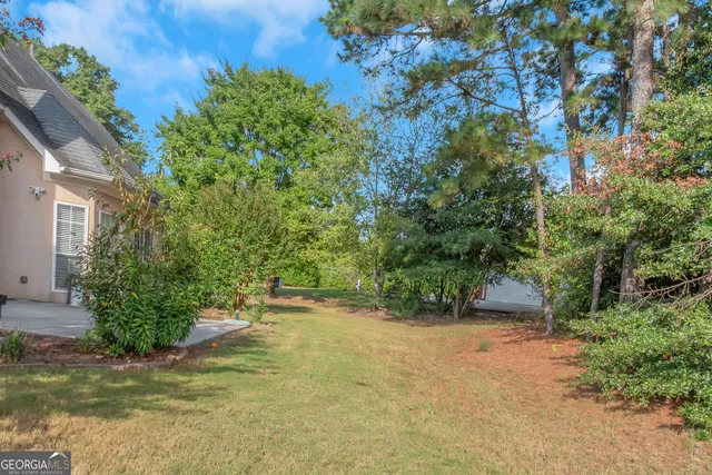 a view of a garden with plants