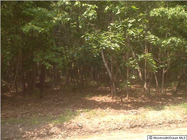 a view of open space and yard