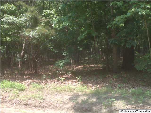 0 Andrews Road Jackson, NJ 08527 - Photo 2 of 3 a view of a yard with a tree