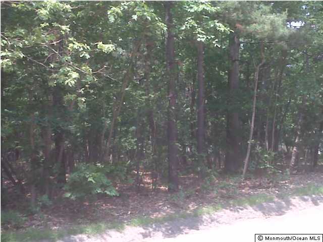 0 Andrews Road Jackson, NJ 08527 - Photo 3 of 3 a view of a forest