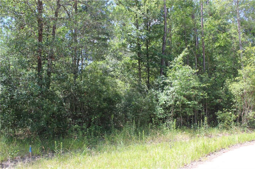 0 Autumn Ridge Drive Lacombe, LA 70445 - Photo 1 of 3 Gallery Image 1