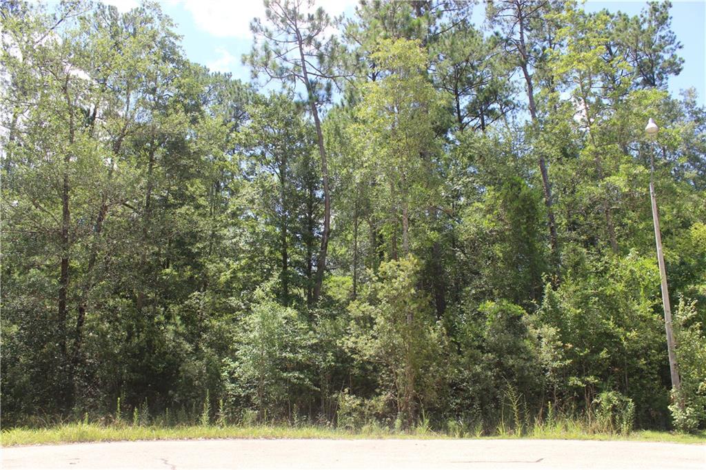 0 Autumn Ridge Drive Lacombe, LA 70445 - Photo 2 of 3 Gallery Image 2