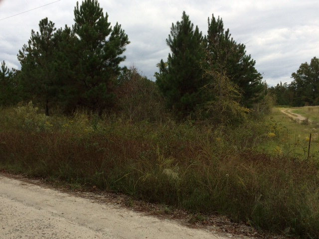 1922 Goldman Johnson Road Lincolnton, GA 30817 - Photo 1 of 1 Main View