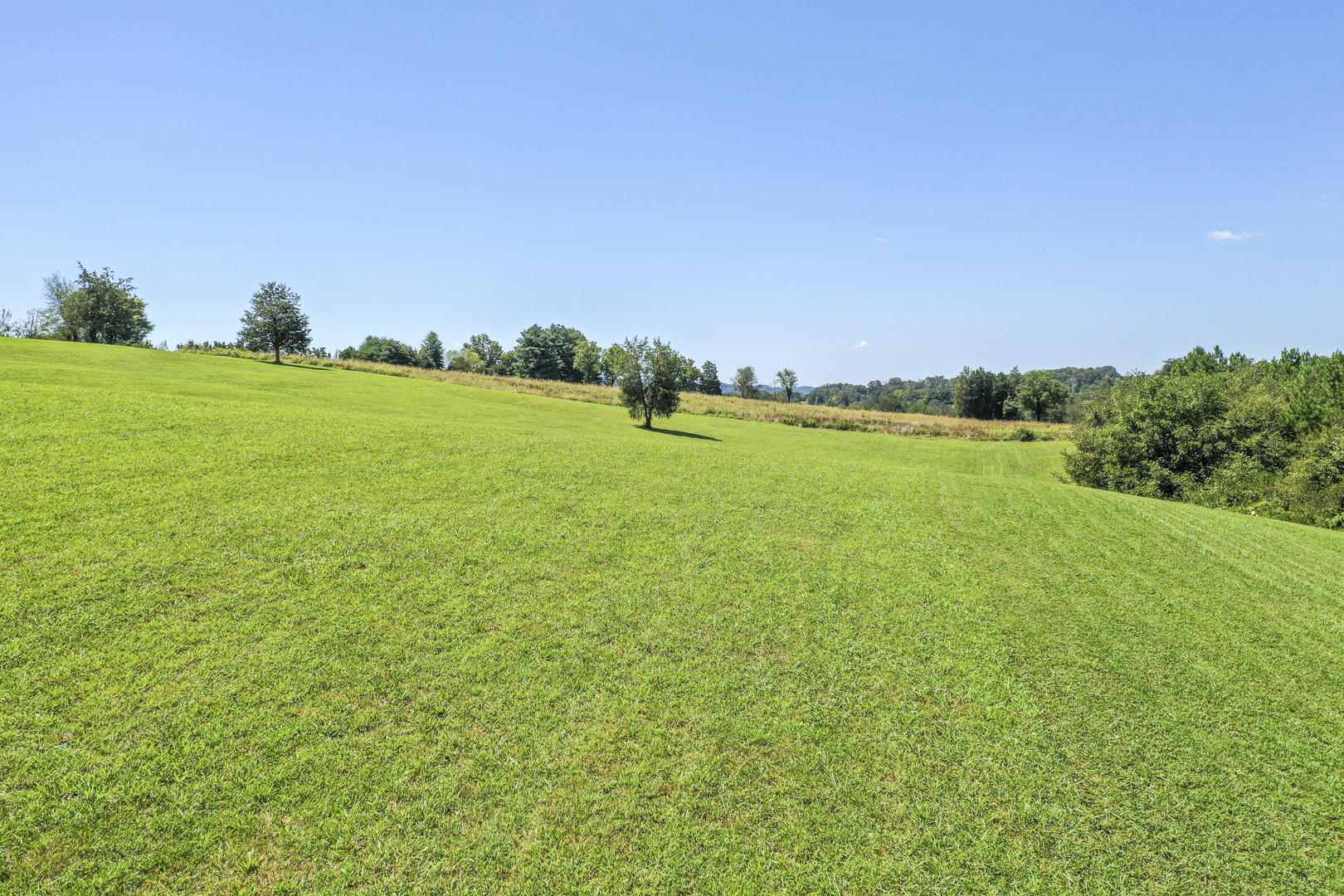 4402 Mint Road Maryville, TN 37803 - Photo 3 of 10 DSC_1987