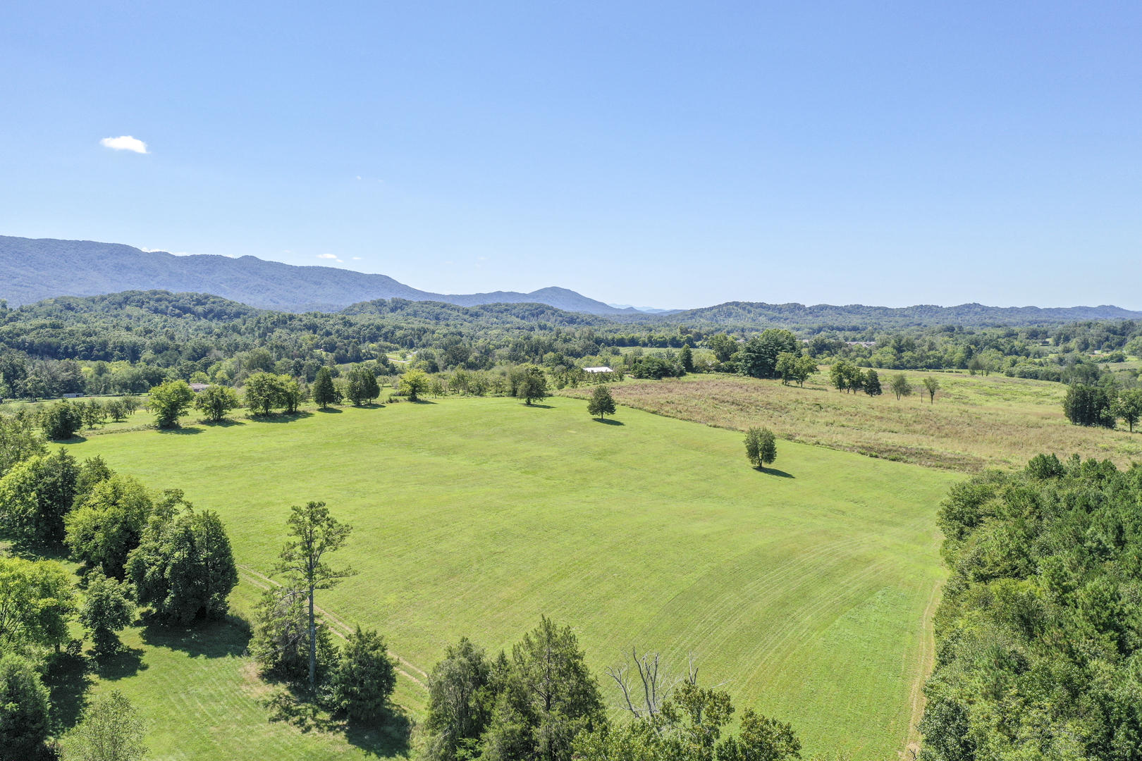 4402 Mint Road Maryville, TN 37803 - Photo 4 of 10 DSC_1987-3