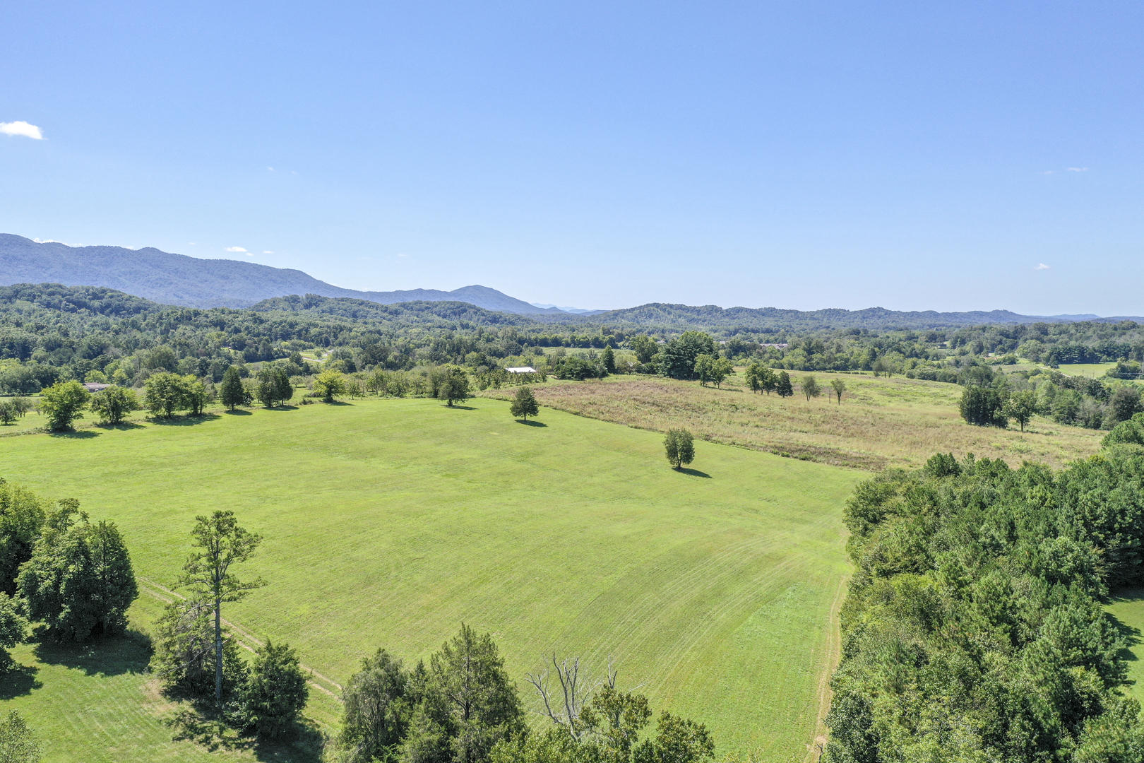 4402 Mint Road Maryville, TN 37803 - Photo 5 of 10 DSC_1987-4