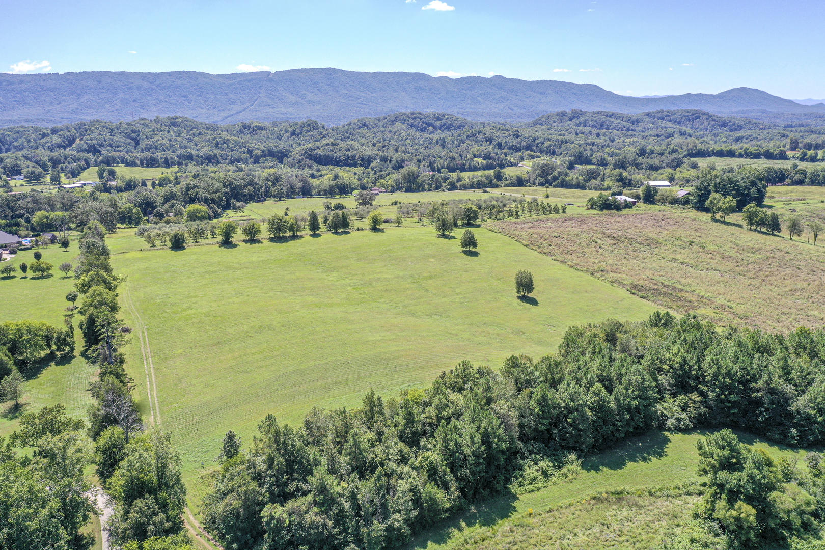 4402 Mint Road Maryville, TN 37803 - Photo 6 of 10 DSC_1987-7