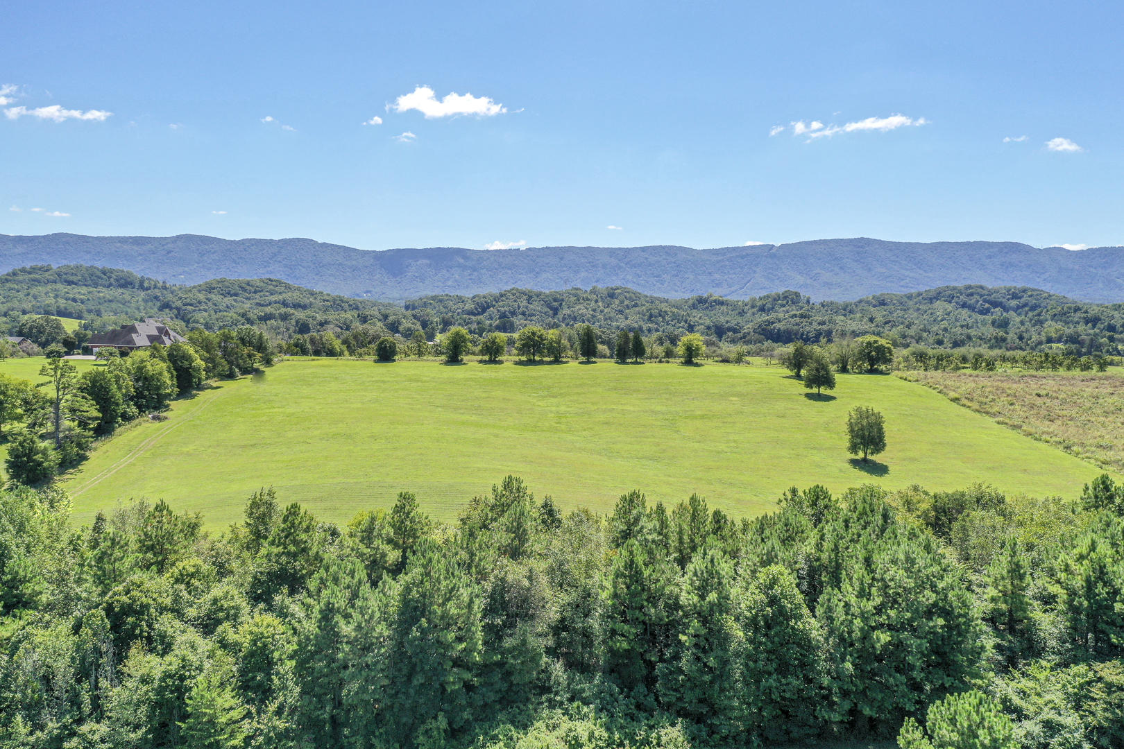 4402 Mint Road Maryville, TN 37803 - Photo 7 of 10 DSC_1987-9
