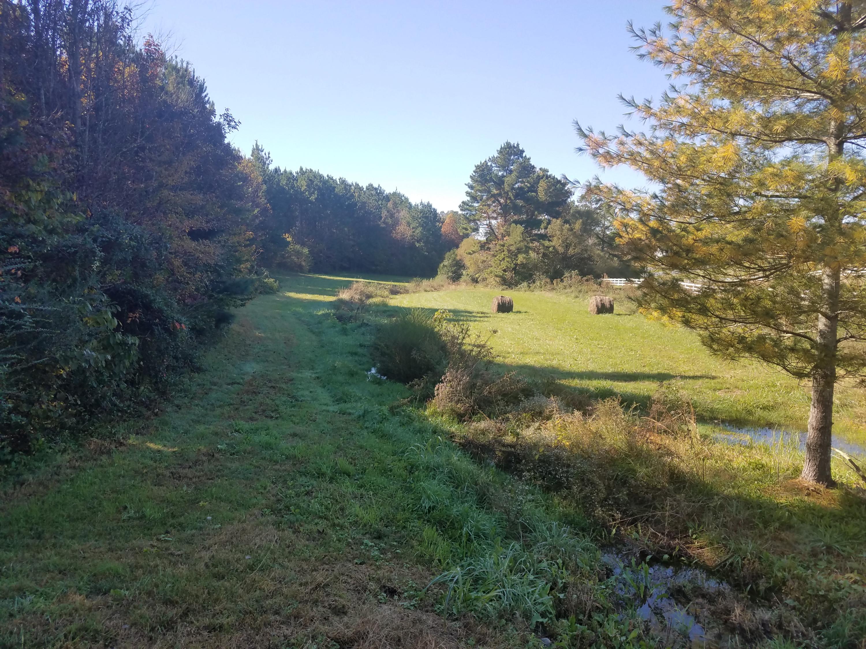 4402 Mint Road Maryville, TN 37803 - Photo 9 of 10 20181103_121050