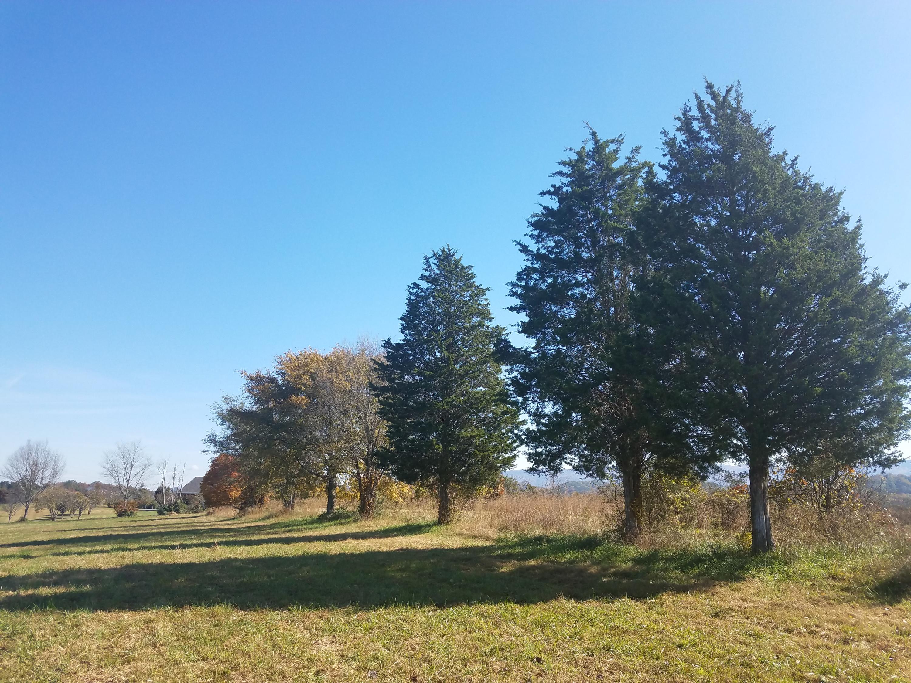 4402 Mint Road Maryville, TN 37803 - Photo 10 of 10 20181103_121423