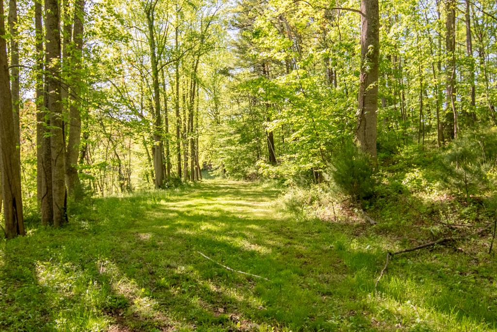 0 Sugar Run Road Northeast, Unit 314 Copper Hill, VA 24079 - Photo 17 of 38 Gallery Image 17