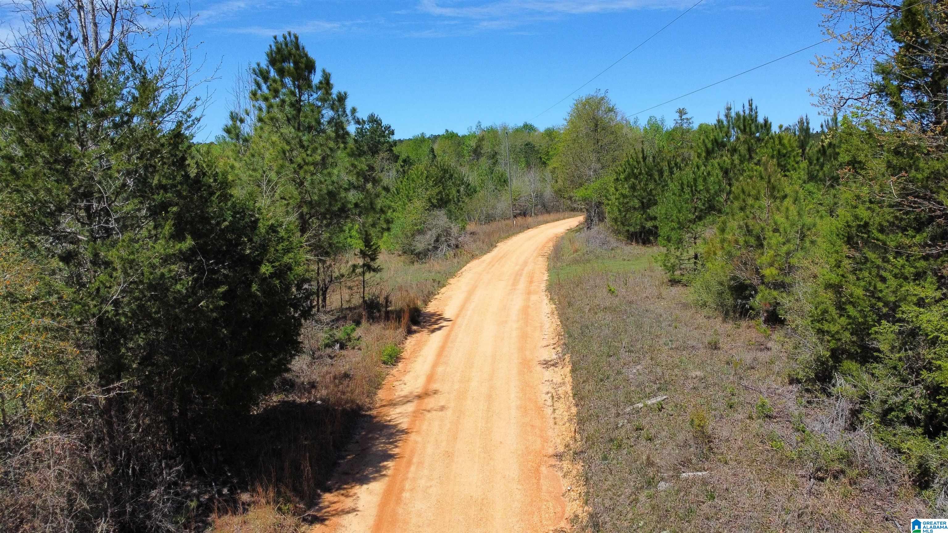 0 Richardson Road Brewton, AL 36426 - Photo 3 of 47