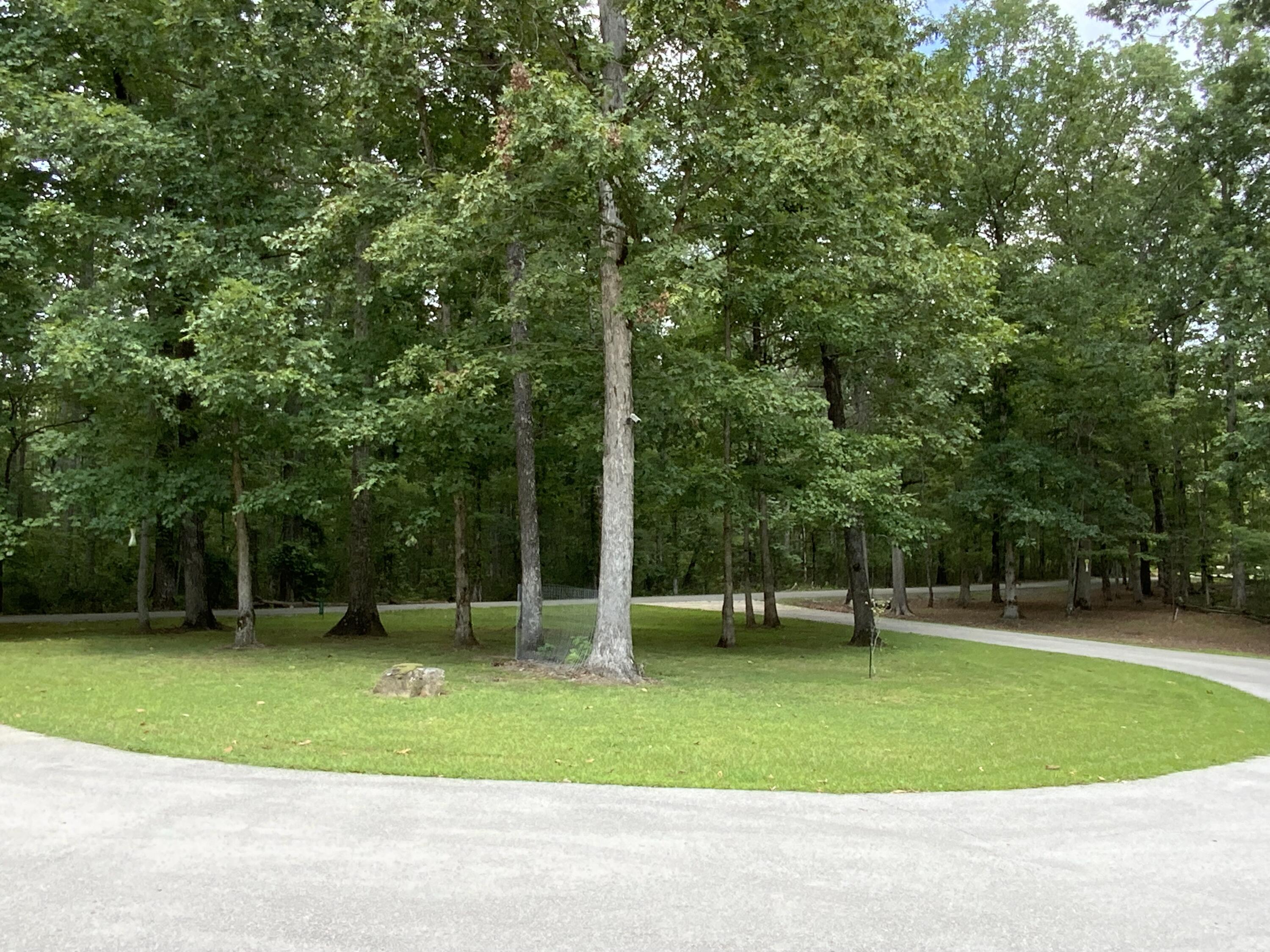 474 Pigeon Springs Road Tracy City, TN 37387 - Photo 12 of 73 474 PS 21